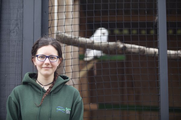 Animal management degree student works at Owl sanctuary