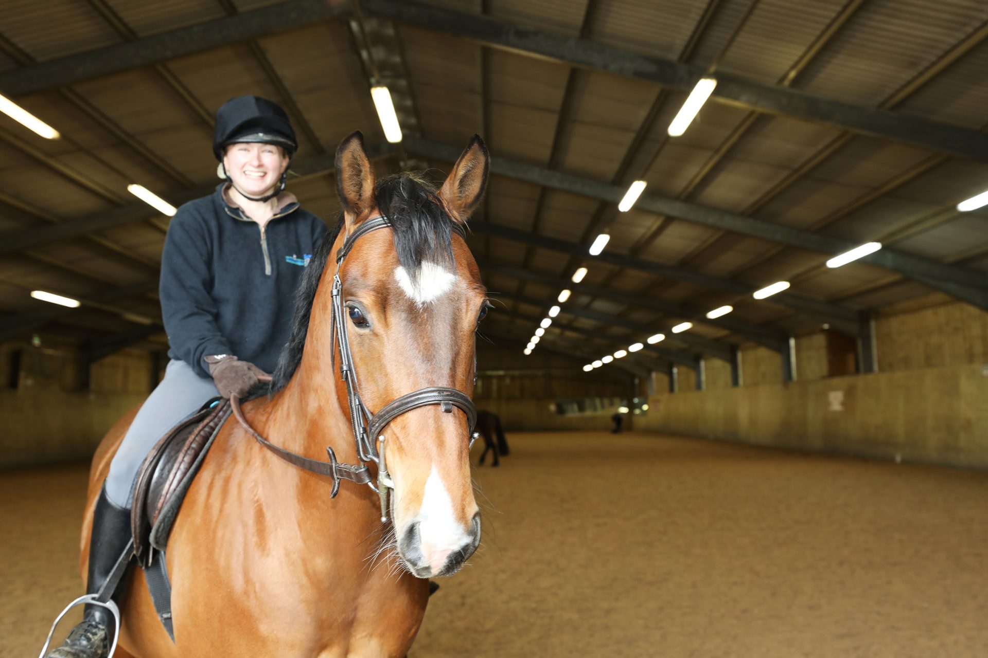 Equine student riding a horse in indoor arena