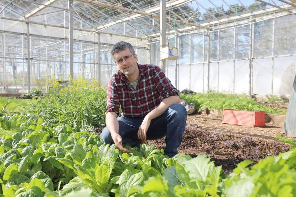 Horticulture tutor in greenhouse