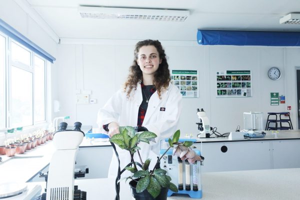 BSc (Hons) Horticulture (Plant Science)