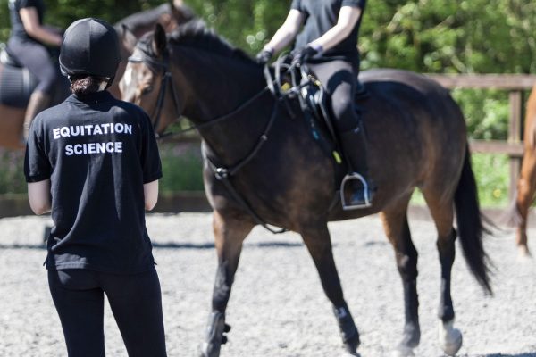 BSc (Hons) Applied Equitation Science