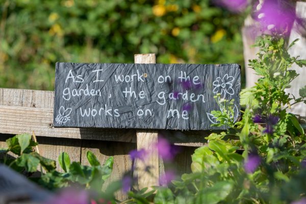 Wellness in the Garden – Weeding Away the Worries