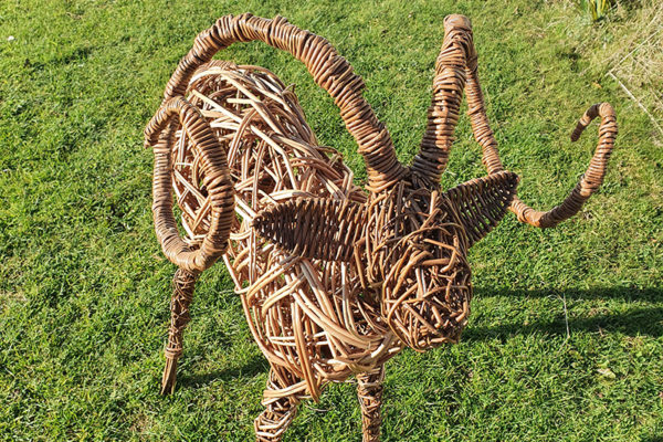 Create a Willow Lamb or Ram Workshop
