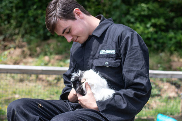 Animal Care and Welfare Manager Apprenticeship Standard