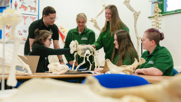 Animal Management & Veterinary Nursing