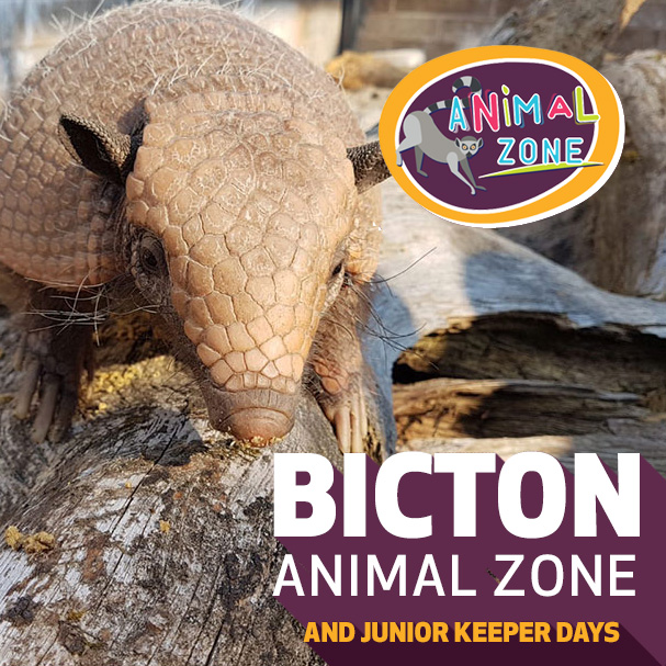 Bicton Animal Zone