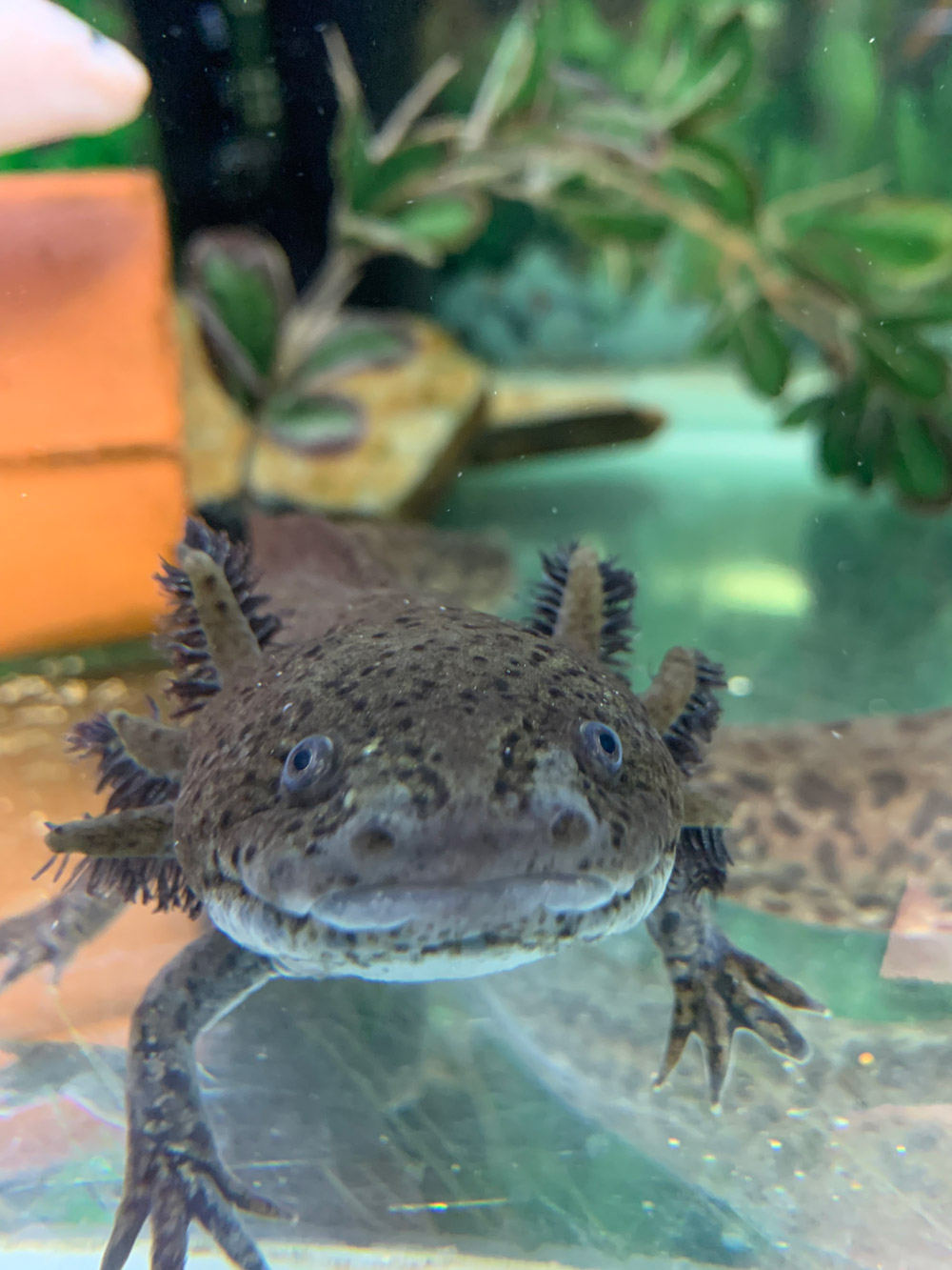 Bicton College Animal Zone