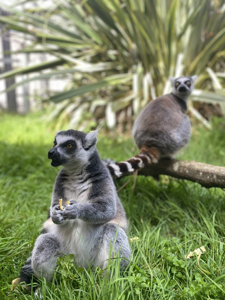 Bicton College Animal Zone
